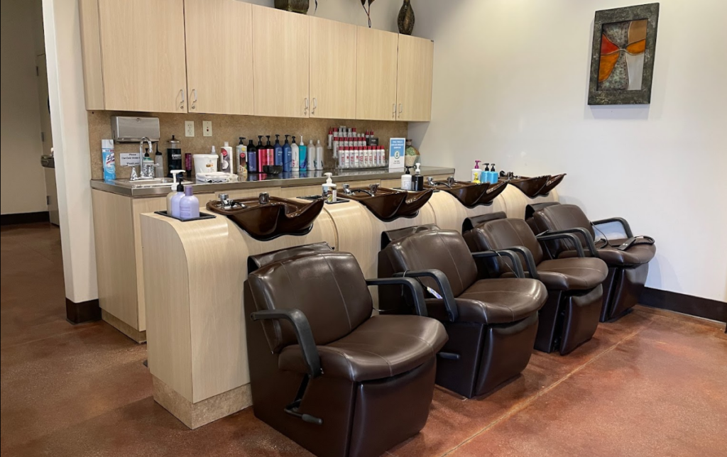 CEO Salon