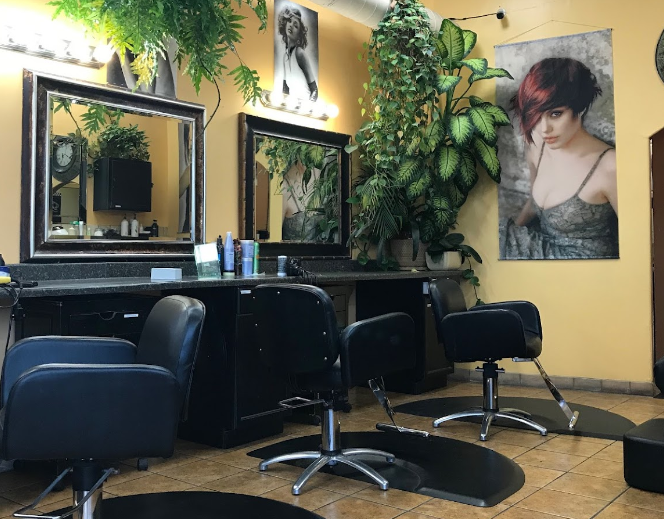 Salon De Belleza Mary